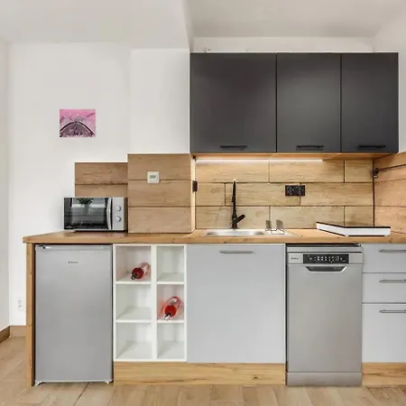 Pod Rownica Apartment Ustron